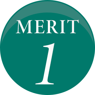 MERIT 1