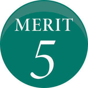 MERIT 5
